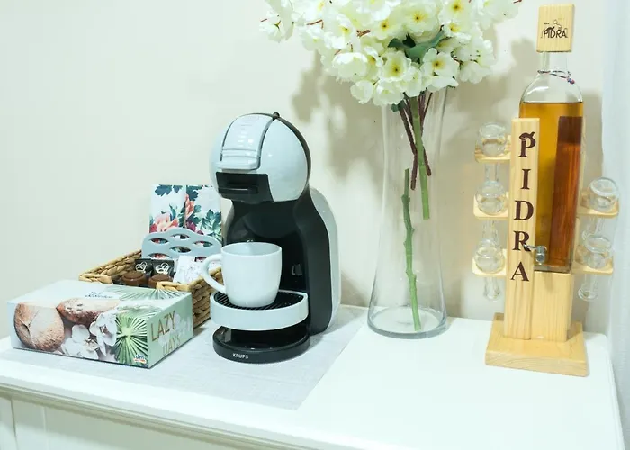 Centar 公寓 Požarevac